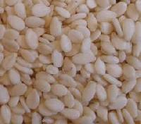 sesame seeds