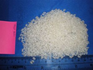 Japonica Rice