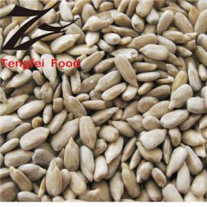 Bakery Sunflower Kernels, Moisture : 8% max