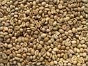 Robusta Coffee Bean