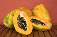 Papaya