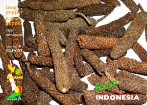 Javanese Pepper