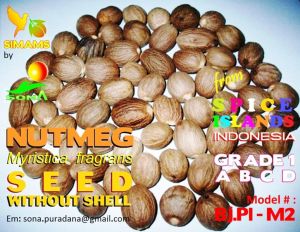 Nutmeg Without Shell