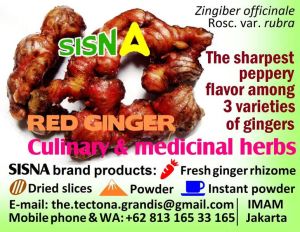 Fresh Red Ginger