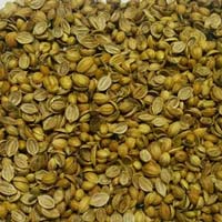 coriander seeds
