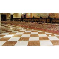 Multicharged Vitrified Tiles