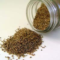 Celery Seed