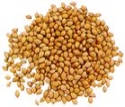 coriander seed