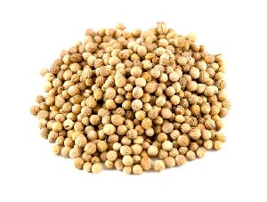 coriander seeds