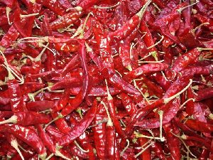 dried red chilli