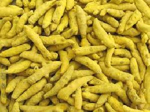 turmeric finger