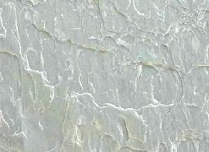Himachal Green Quartzite