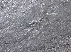 ilver Grey Quartzite
