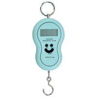Portable Hanging Scales