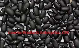 Kidney Beans