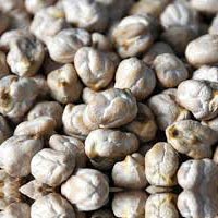 White Chickpeas