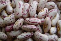 light speckled kidney beans