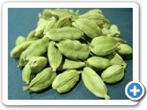 green cardamom