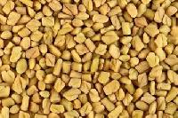 fenugreek seeds