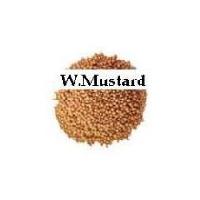 White Mustard Seeds