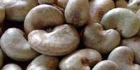 Dried Raw Cashew Nuts