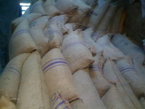 Voacanga Africana Seeds