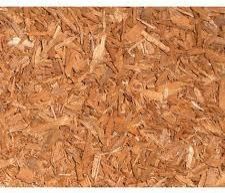 Pausinystalia Yohimbe Bark