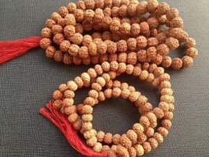 Rudraksha