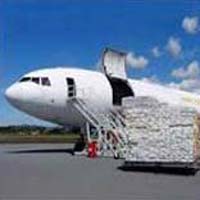 Logistics Services & Freight Forwarding Services