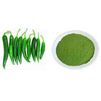 dehydrated green chili powder