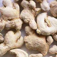 dried ginger