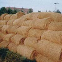 Coir Geotextile