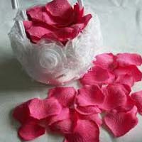 Rose Flower/Petels