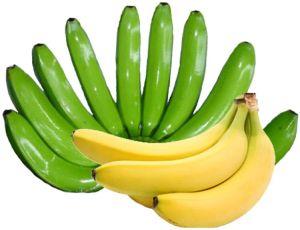 Cavandish Banana Cavandish Banana