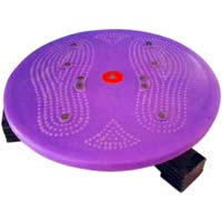 Gym Stand DISC