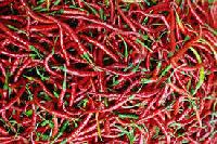 Dried Chillies