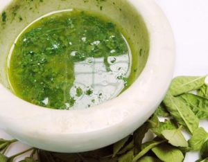 Basil Oil,  Packaging Type : Glass Bottle