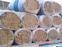 Carpet Wool, Greasy Wool