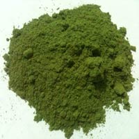 Dehydrated Green Mint Powder