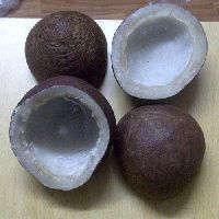 dried whole coconut
