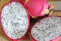 dragon fruit