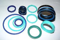 Oil Seals Kit