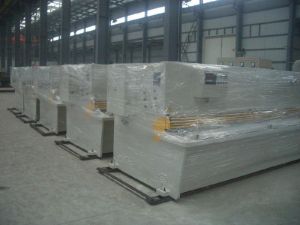 Hydraulic Pendulum Shearing Machine, Brand Name : Baylor