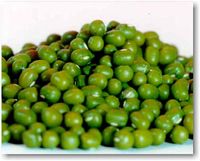 green mung beans