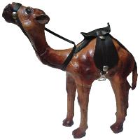 Show Piece Camel
