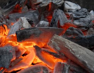 Bbq Hardwood Charcoal