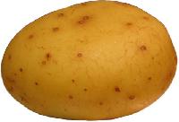 Freah Potatoes