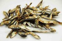 dried fish