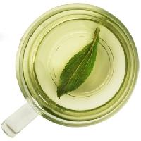 Stevia Herbal Tea Leaves
