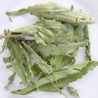 Stevia Tea Leaves